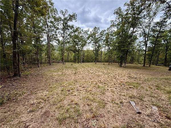 40 Acres of Recreational & Residential Land for Sale in Witter, Arkansas