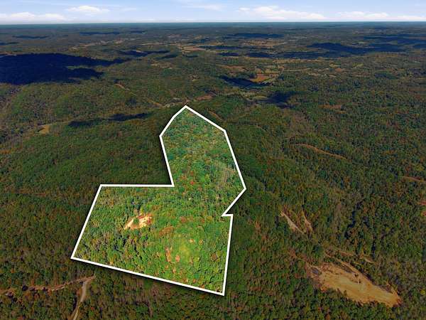 40.7 Acres of Recreational Land for Sale in Mount Pleasant, Tennessee