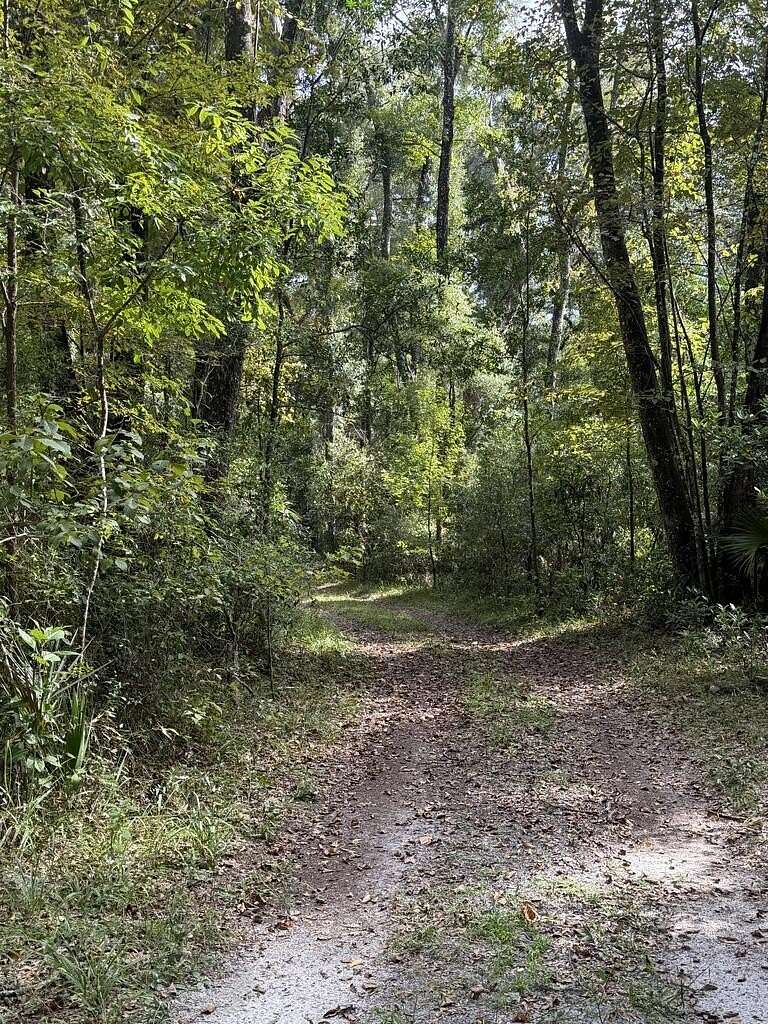 3.25 Acres of Land for Sale in Old Town, Florida