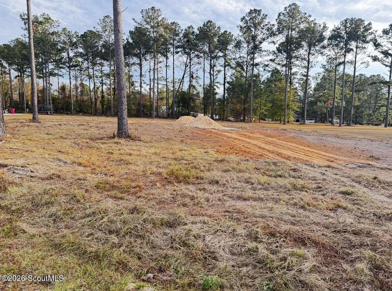 1 Acre of Residential Land for Sale in Blackshear, Georgia
