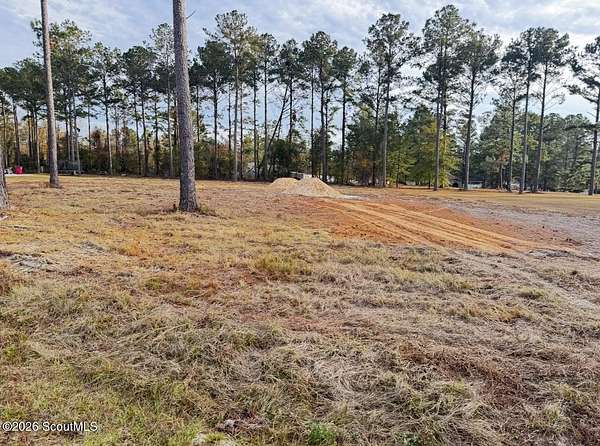 1 Acre of Residential Land for Sale in Blackshear, Georgia