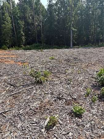 4.2 Acres of Residential Land for Sale in Conyers, Georgia