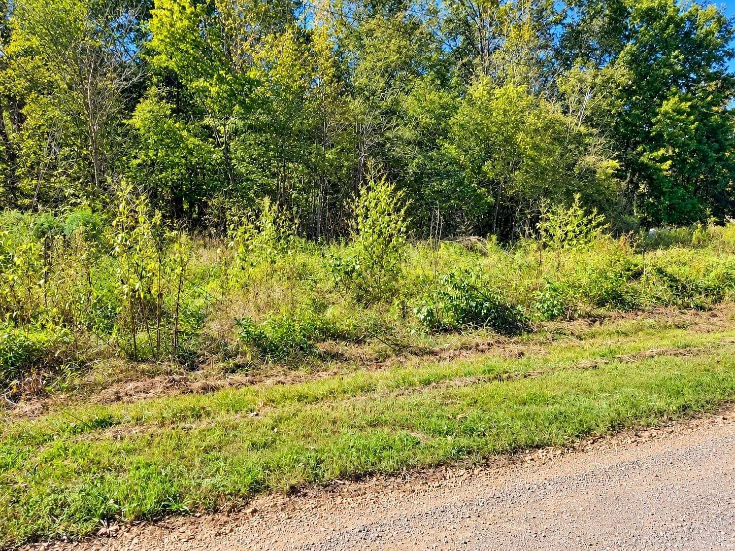 0.37 Acres of Residential Land for Sale in Adamsville, Tennessee