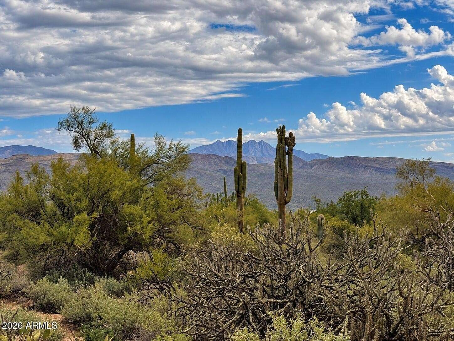 4.69 Acres of Residential Land for Sale in Rio Verde, Arizona