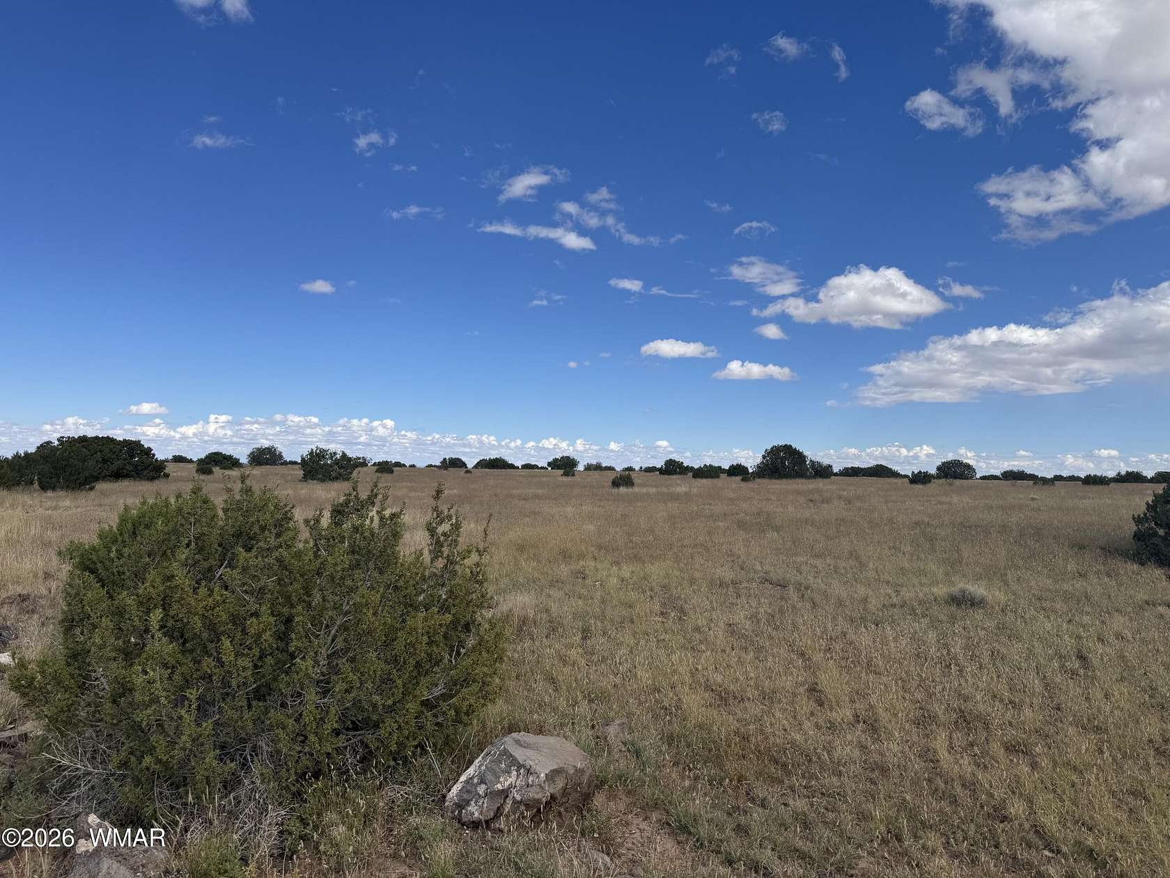 1 Acre of Residential Land for Sale in Concho, Arizona