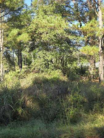 0.49 Acres of Land for Sale in Vance, South Carolina
