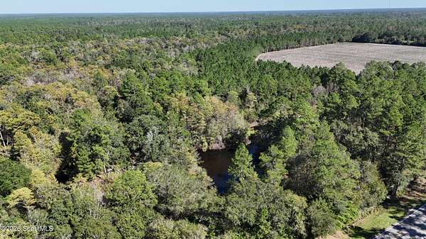 85 Acres of Recreational Land for Sale in Manor, Georgia