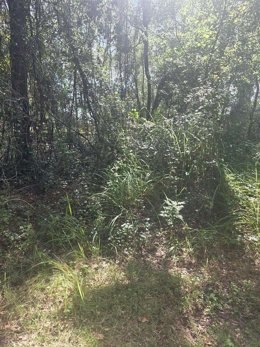 0.4 Acres of Residential Land for Sale in Belleview, Florida