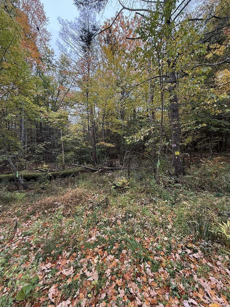 18.6 Acres of Land for Sale in Hatfield, Massachusetts