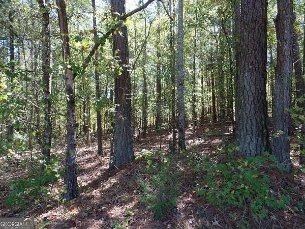 2.79 Acres of Residential Land for Sale in Newnan, Georgia