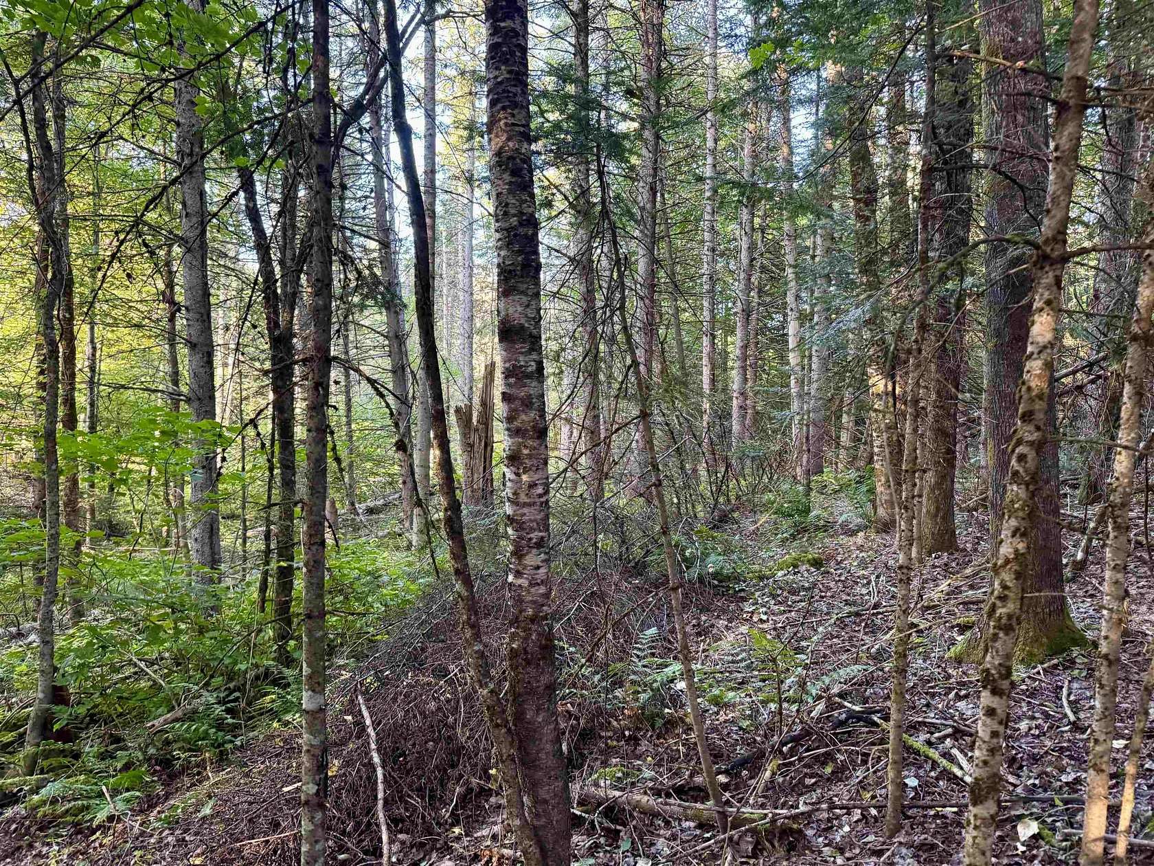 16.1 Acres of Land for Sale in Colebrook, New Hampshire