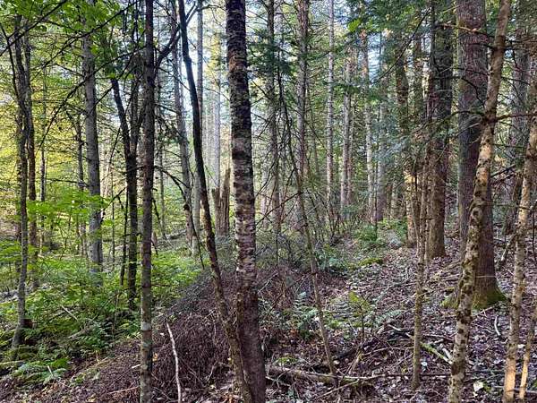 16.1 Acres of Land for Sale in Colebrook, New Hampshire