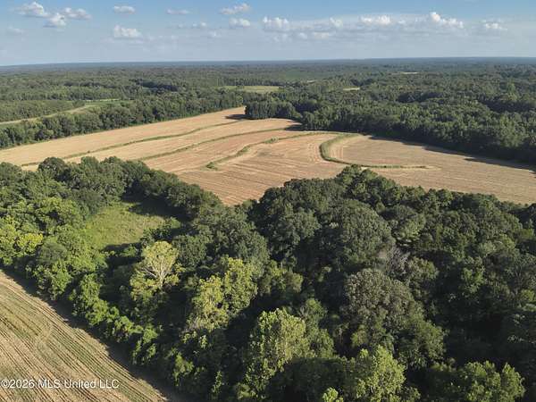 150 Acres of Land for Sale in Vaughan, Mississippi