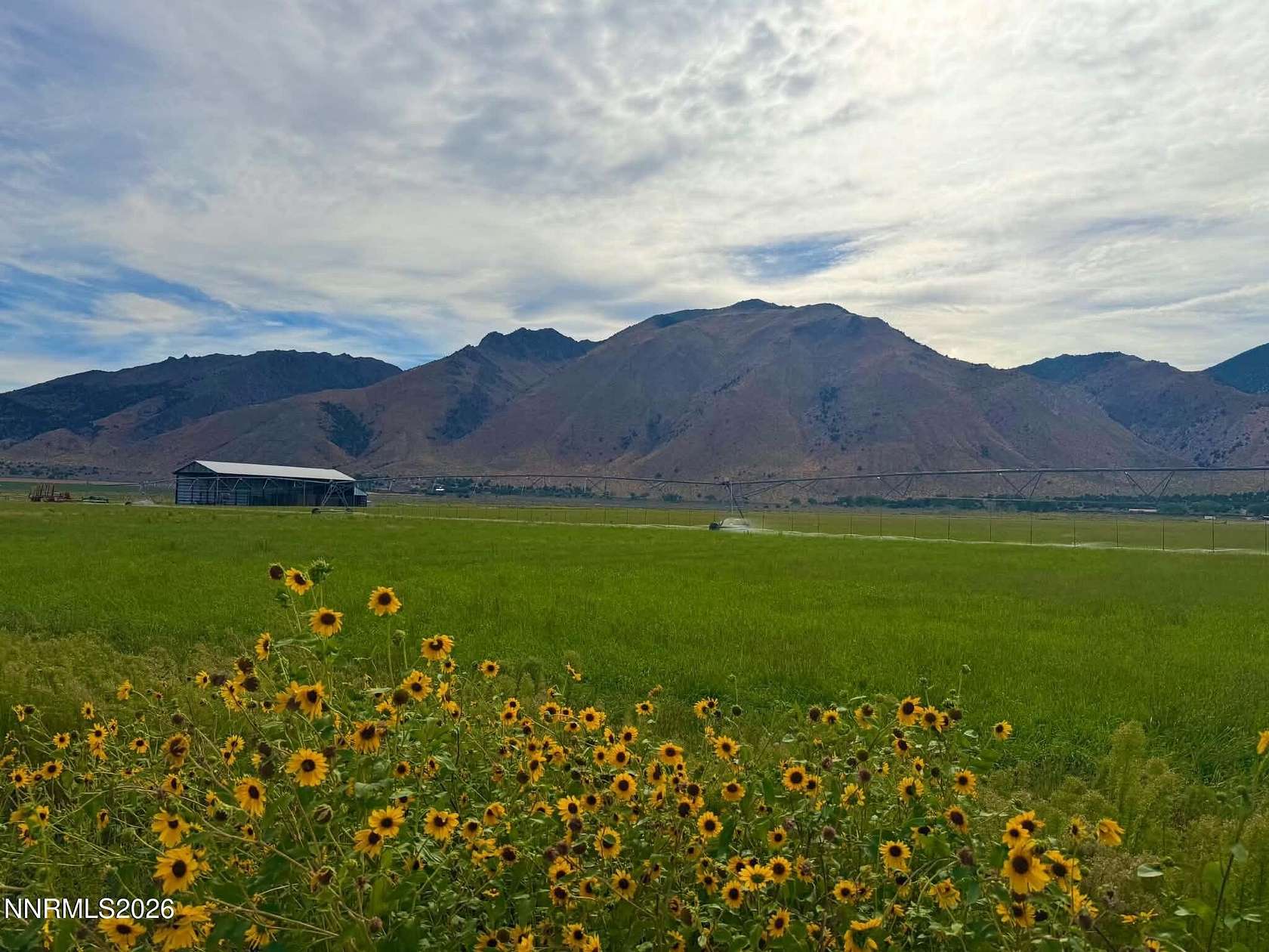 20 Acres of Agricultural & Residential Land for Sale in Wellington, Nevada