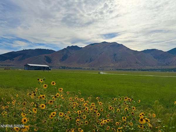 20 Acres of Agricultural & Residential Land for Sale in Wellington, Nevada