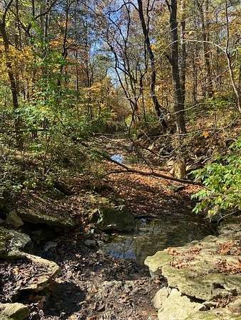 21.6 Acres of Land for Sale in Dillsboro, Indiana