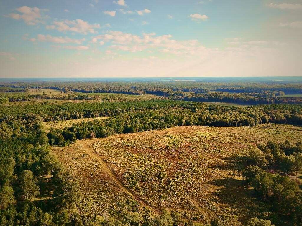 90 Acres of Recreational Land for Sale in Abbeville, Georgia