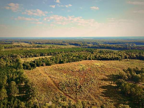 90 Acres of Recreational Land for Sale in Abbeville, Georgia