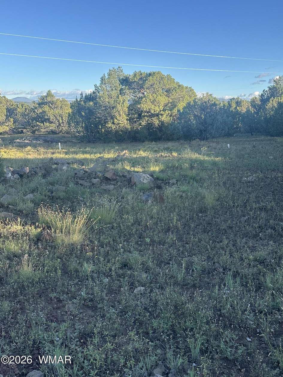39.5 Acres of Land for Sale in Vernon, Arizona