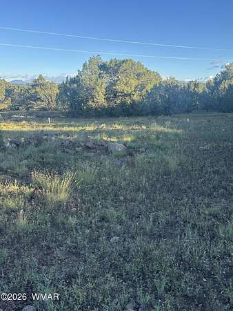 39.5 Acres of Land for Sale in Vernon, Arizona