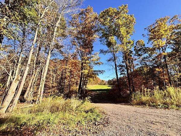49 Acres of Land for Sale in Meyersdale, Pennsylvania