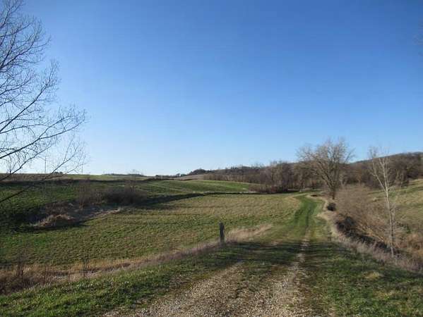 80 Acres of Land for Auction in Durango, Iowa