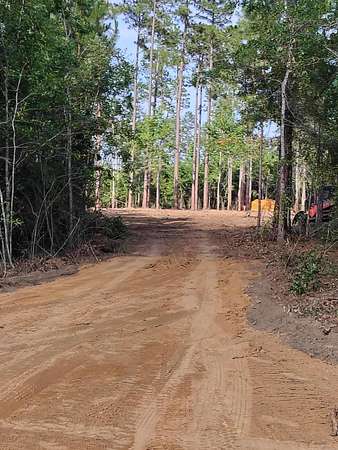 10 Acres of Residential Land for Sale in Cottondale, Florida
