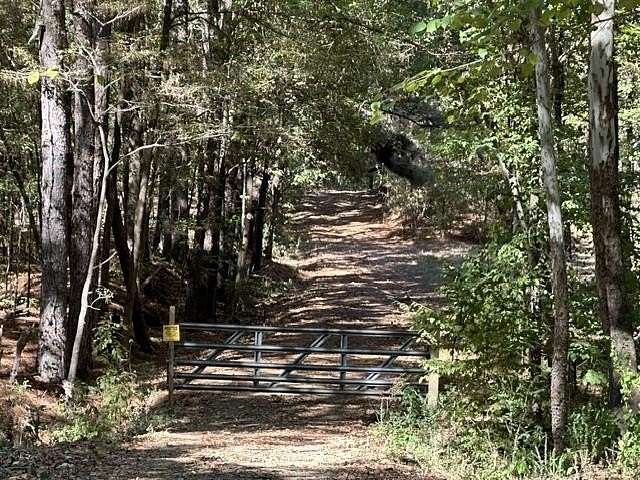 24.4 Acres of Recreational Land for Sale in Arlington, Tennessee