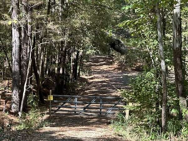 24.4 Acres of Recreational Land for Sale in Arlington, Tennessee