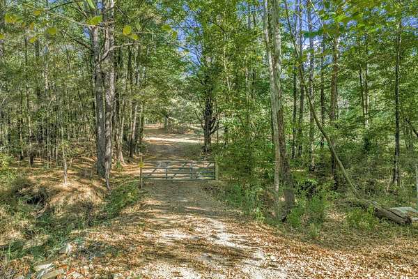 24.4 Acres of Recreational Land for Sale in Arlington, Tennessee