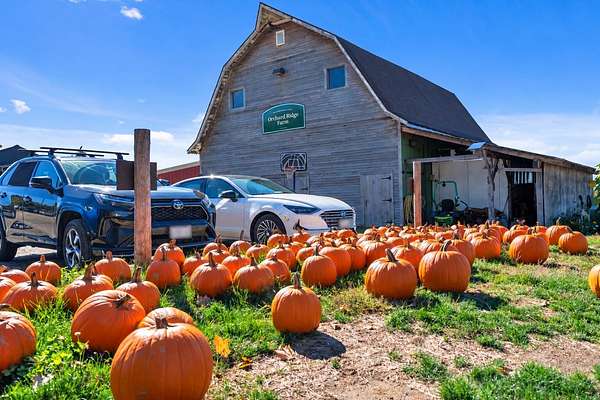 38 Acres of Improved Land for Sale in Gorham, Maine