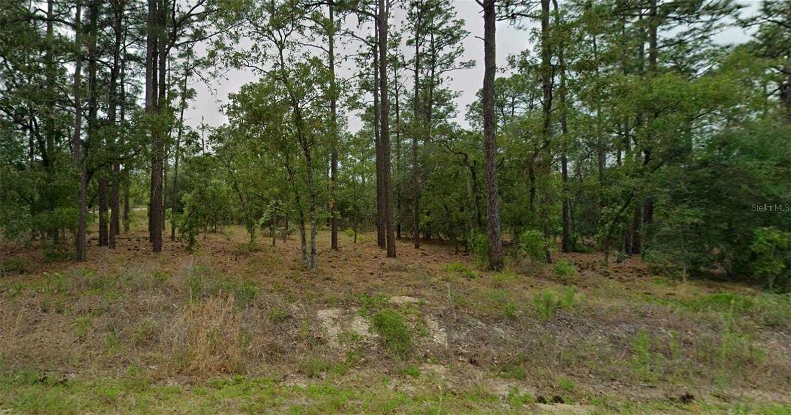 1 Acre of Land for Sale in Dunnellon, Florida