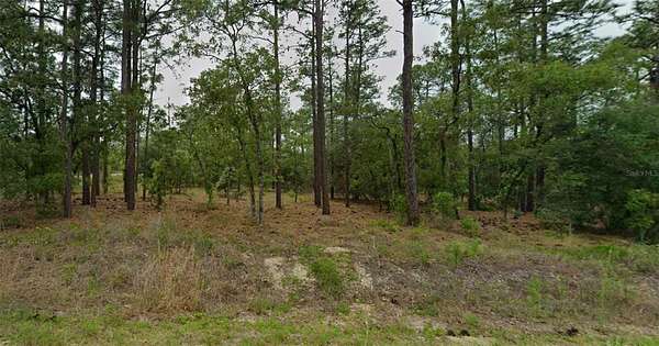 1 Acre of Land for Sale in Dunnellon, Florida