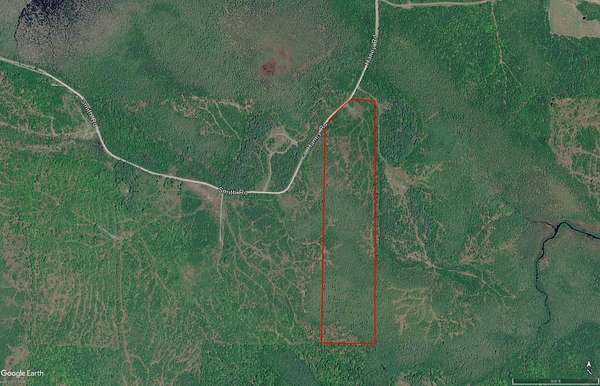 30 Acres of Recreational Land for Sale in Cary, Maine