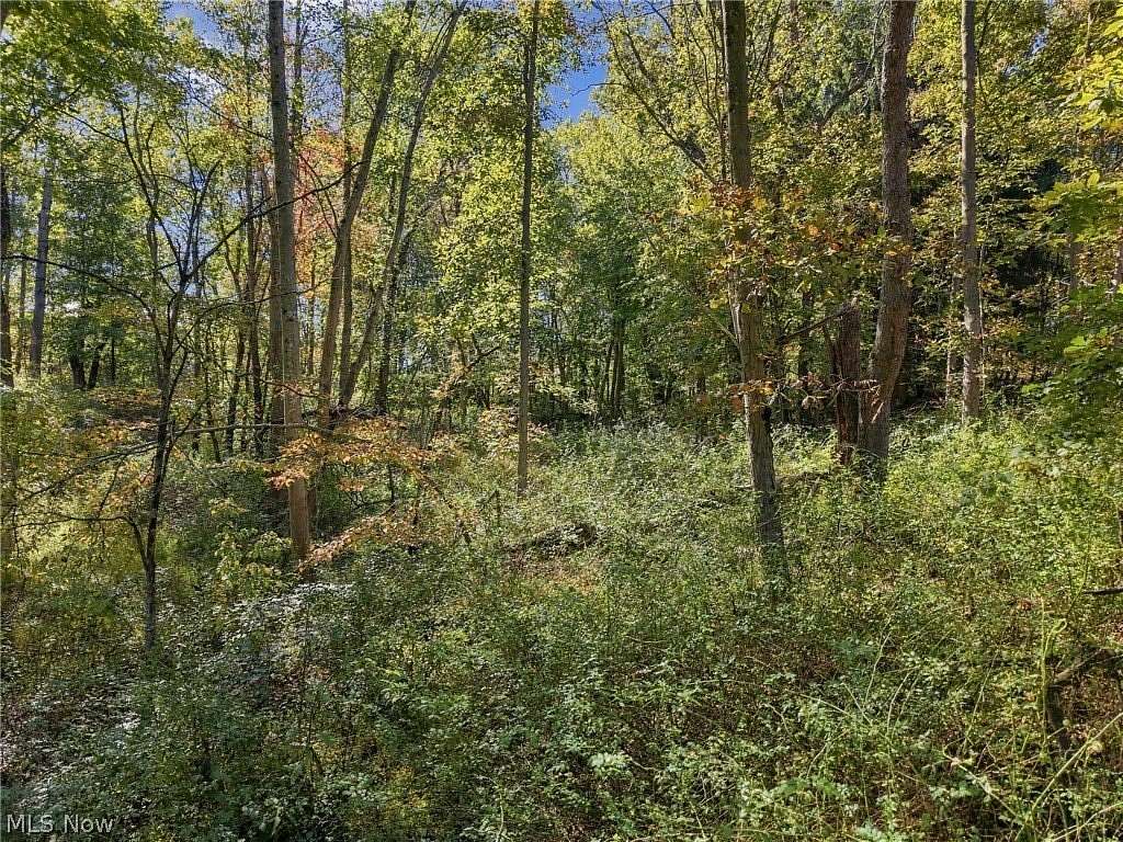 10 Acres of Recreational Land for Auction in Bolivar, Ohio