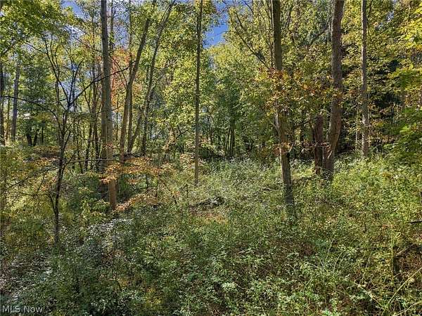 10 Acres of Recreational Land for Auction in Bolivar, Ohio