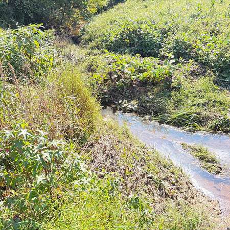 4.4 Acres of Residential Land for Sale in Winston-Salem, North Carolina
