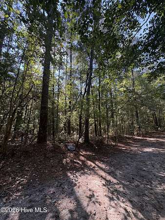 1 Acre of Residential Land for Sale in Winterville, North Carolina