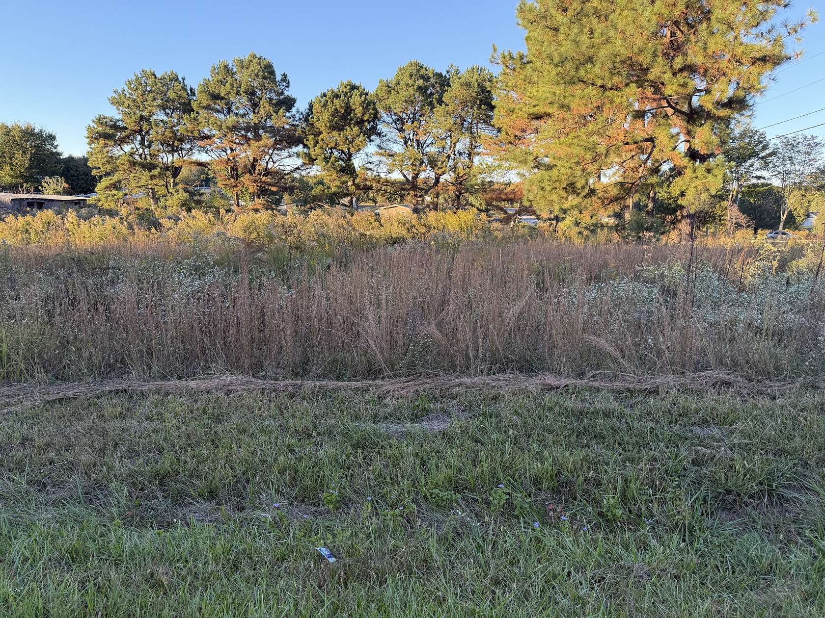 0.98 Acres of Residential Land for Sale in Hillsboro, Tennessee