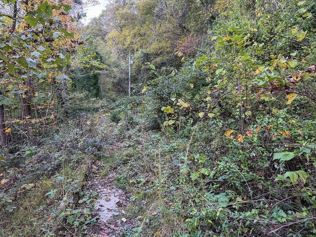 8 Acres of Residential Land for Sale in Shelbiana, Kentucky