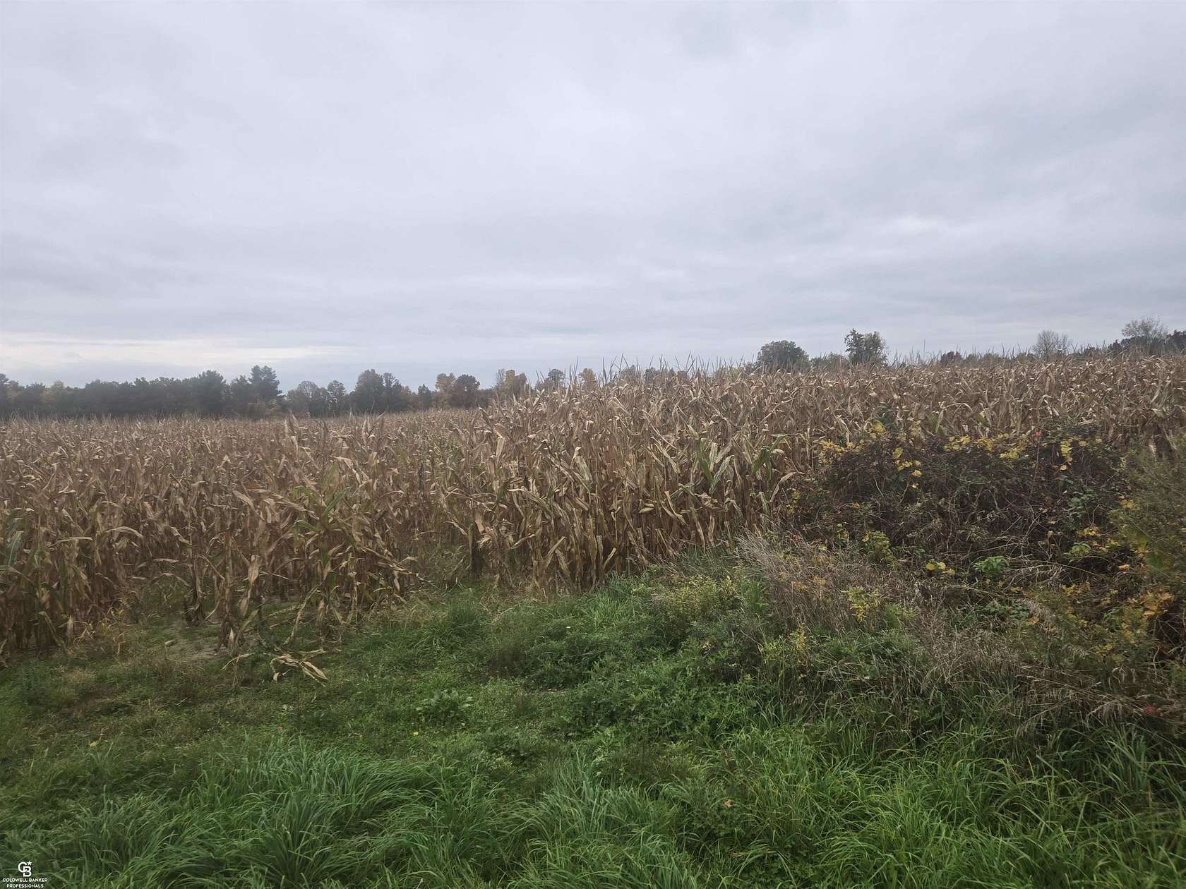 26.3 Acres of Recreational & Residential Land for Sale in Avoca, Michigan