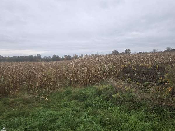 26.3 Acres of Recreational & Residential Land for Sale in Avoca, Michigan