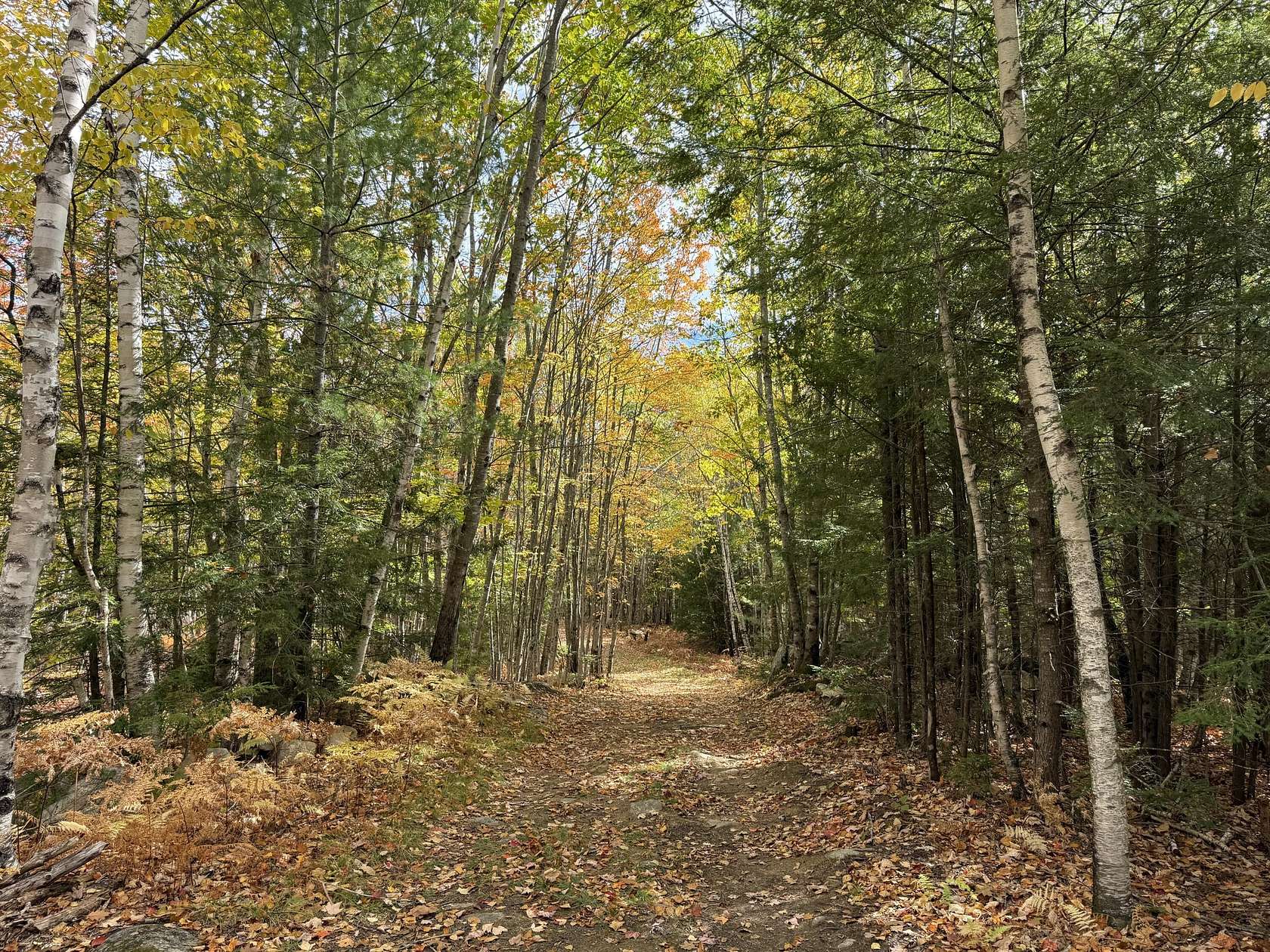 40 Acres of Recreational Land for Sale in Norway, Maine