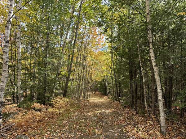 40 Acres of Recreational Land for Sale in Norway, Maine