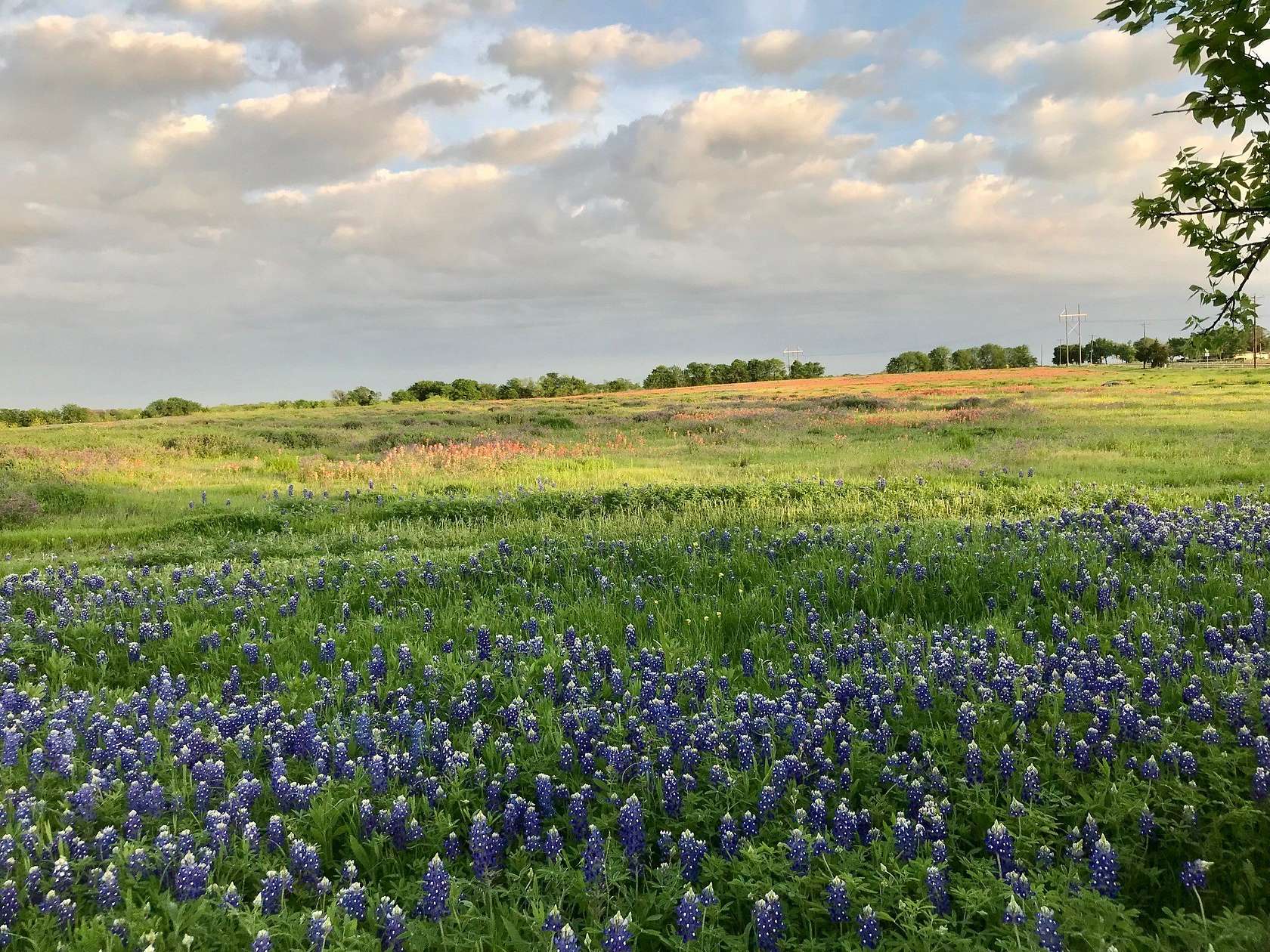 4.8 Acres of Residential Land for Sale in Ennis, Texas