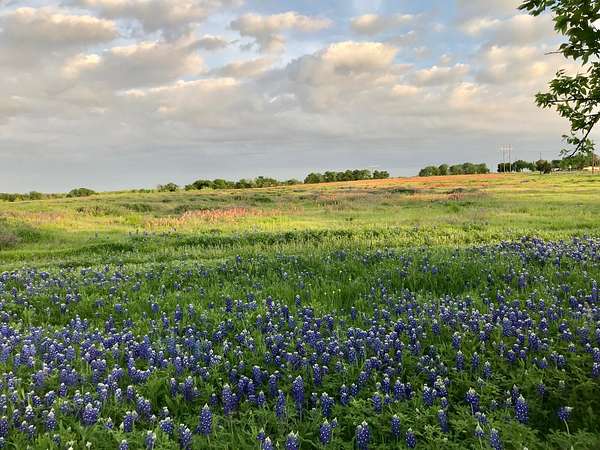 4.8 Acres of Residential Land for Sale in Ennis, Texas