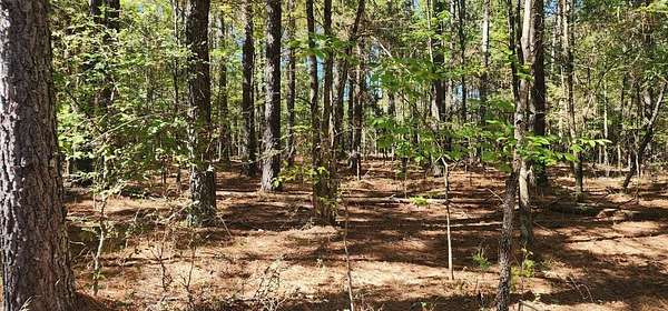0.57 Acres of Land for Sale in Big Sandy, Tennessee