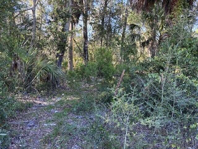 39.1 Acres of Land for Sale in Cedar Key, Florida