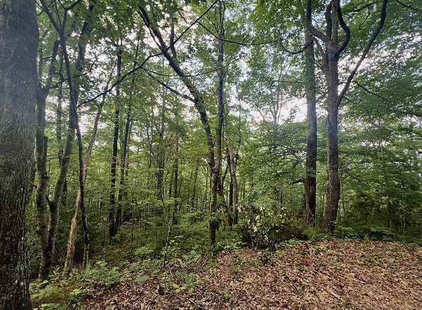 2.37 Acres of Residential Land for Sale in Scaly Mountain, North Carolina
