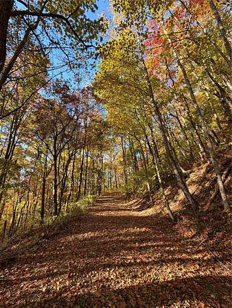 2.37 Acres of Residential Land for Sale in Scaly Mountain, North Carolina